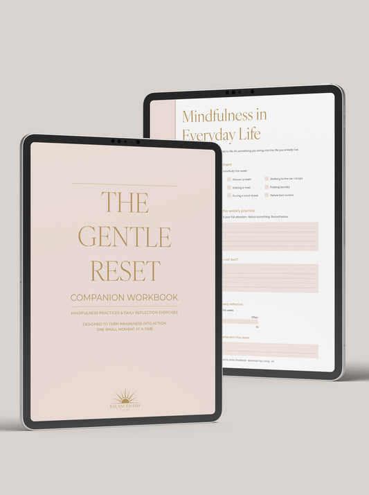 Mindfulness, Daily Reflection & Stress Awareness Workbook (Digital Download)