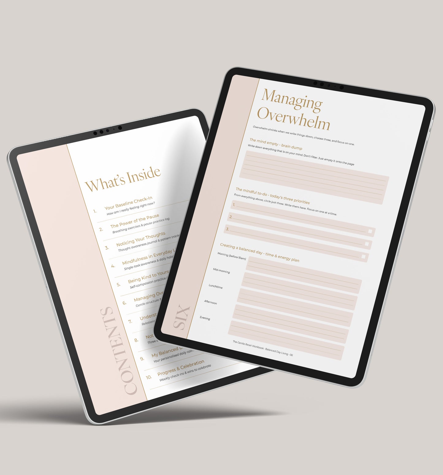 Mindfulness, Daily Reflection & Stress Awareness Workbook (Digital Download)