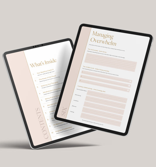 Mindfulness, Daily Reflection & Stress Awareness Workbook (Digital Download)