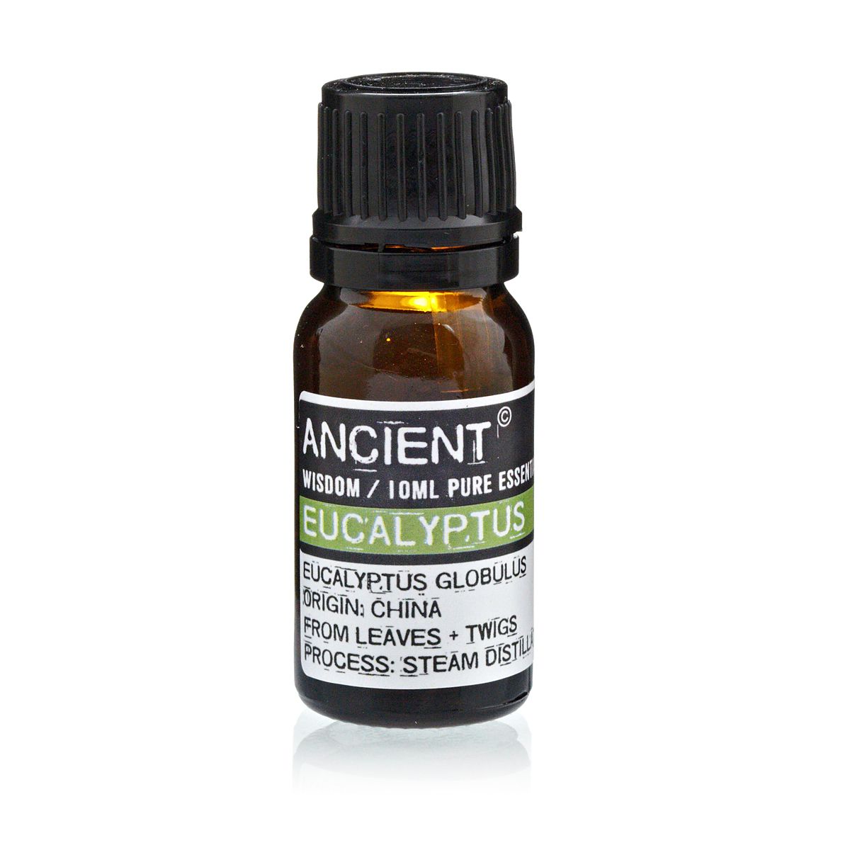 Bottle of Eucalyptus essential oil with a black cap on a white background