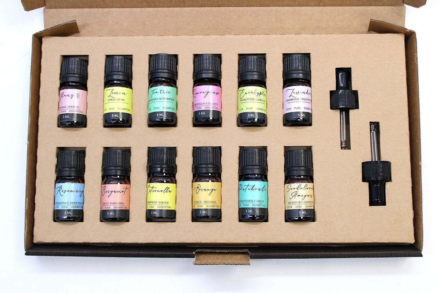 Aromatherapy Essential Oil Gift Set – 12 Pure Oils (5ml)