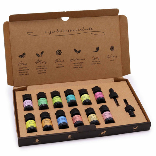 Aromatherapy Essential Oil Gift Set – 12 Pure Oils
